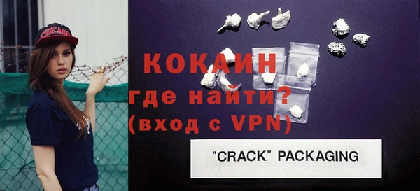 spice Богородск