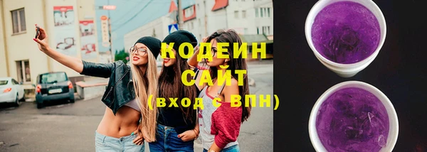 spice Богородск