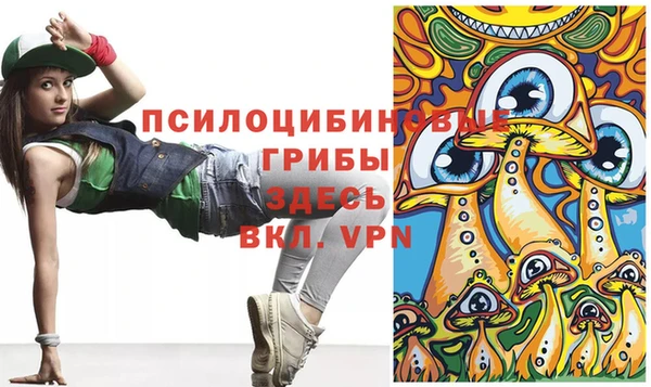 дживик Богданович