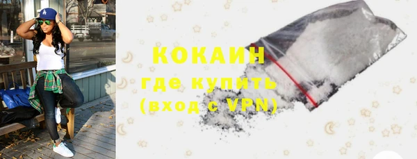 дживик Богданович