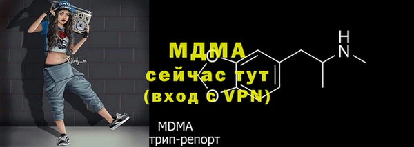 spice Богородск