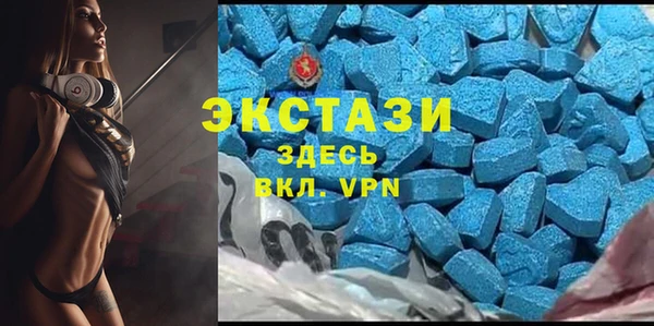 spice Богородск